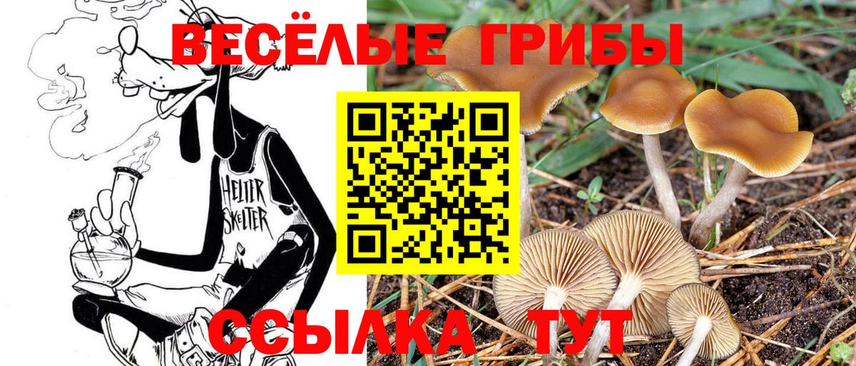 Вольск  Псилоцибиновые грибы ЛСД  Галлюциногенные грибы Psilocybine cubensis  Вход с VPN 