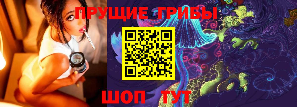 Галлюциногенные грибы Cubensis Вольск